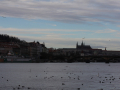 Prag
